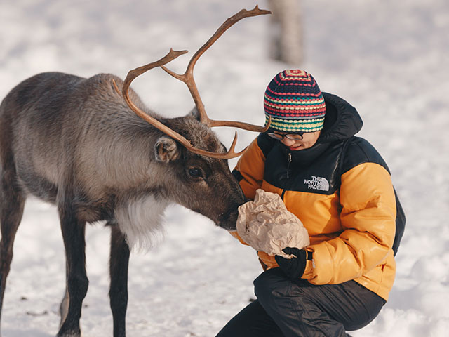 boy feeding reindeer