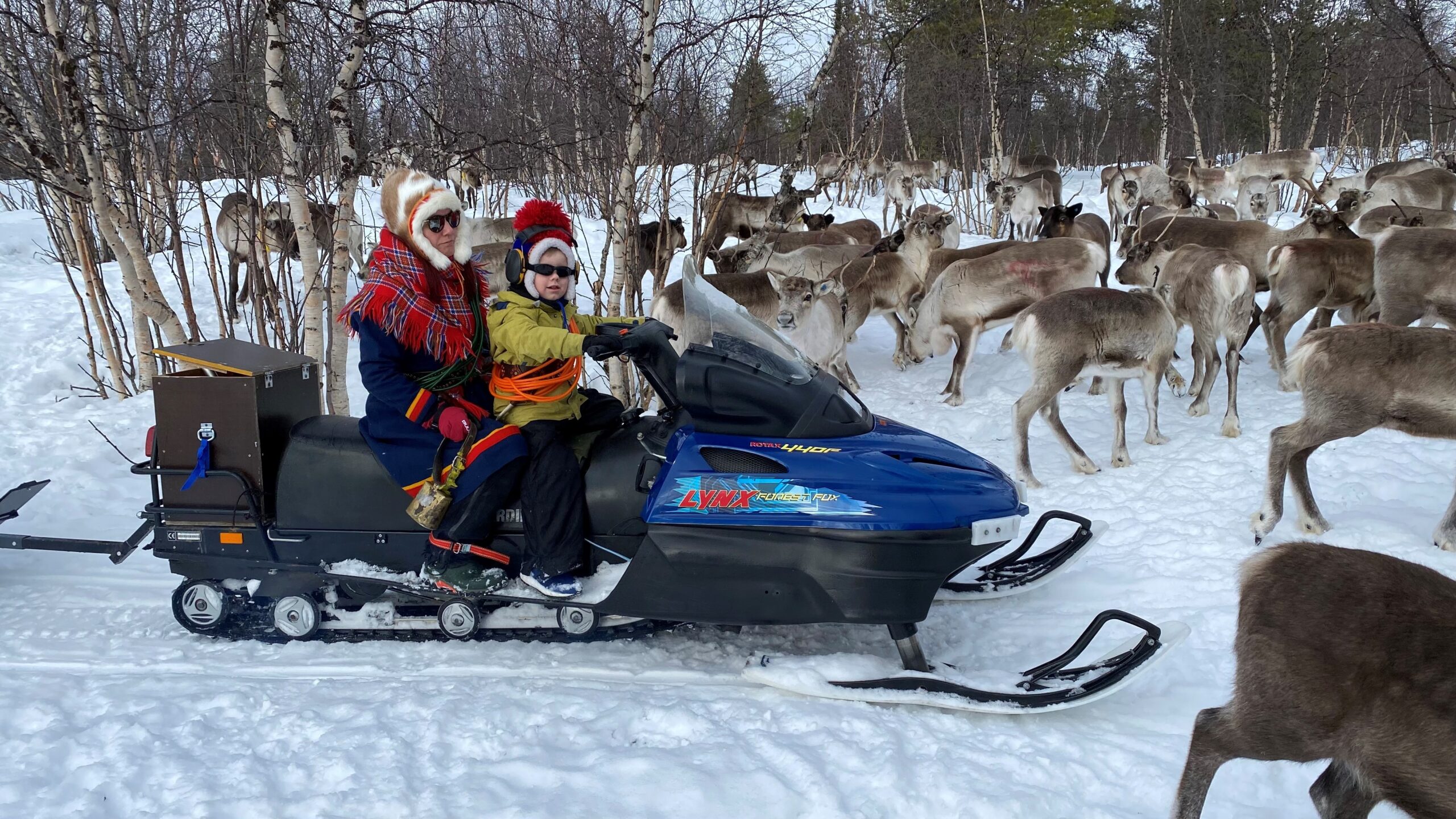 family-driving-snowmobile-in-reindeer-corral